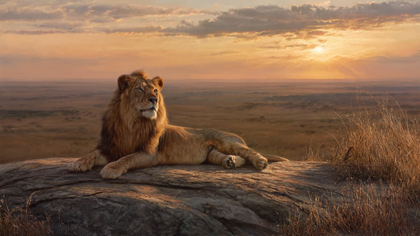 How to Plan Your First African Safari: Costs Parks and Best Time to Go